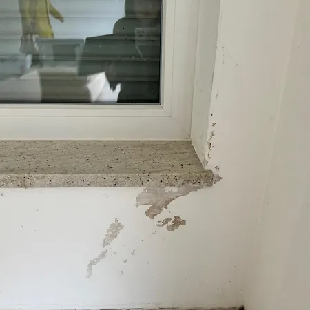 Gemuetliches Doppelhaushaelfte Villa